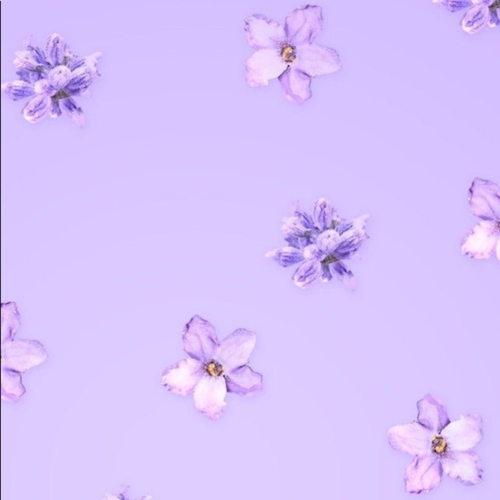 Meet your Posher, Diana